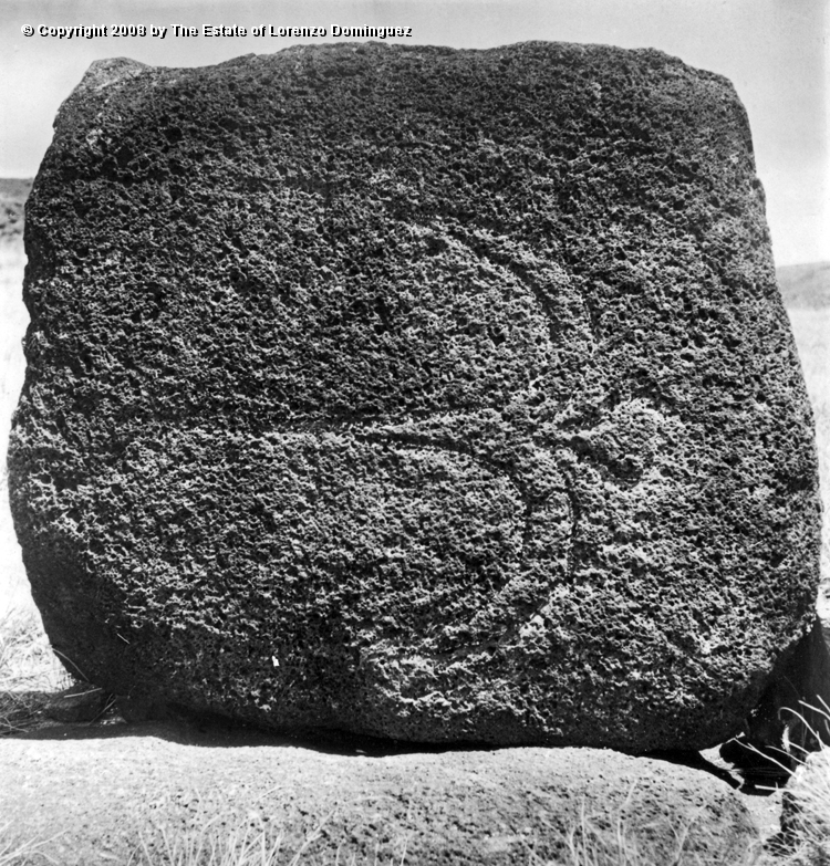 ANA_Pajaro_En_Vuelo_01.jpg - Easter Island. 1960. Anakena. Petroglyph over the paenga of an ahu representing a flying bird.